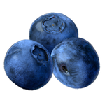 Energy Drink Blueberry Bolt
